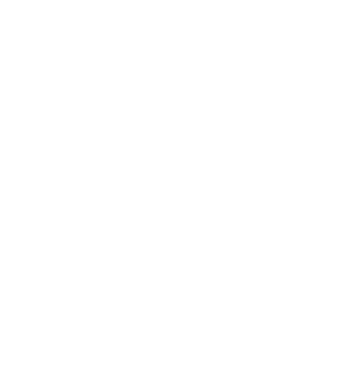 Maint-Sol GmbH